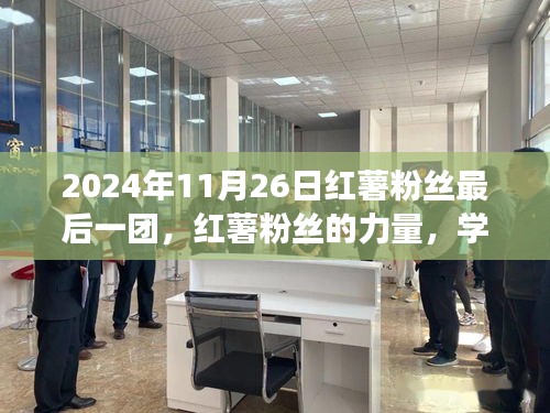 关于我们 第502页