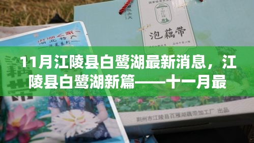 关于我们 第495页