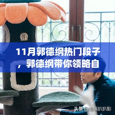阿胶究竟有哪些功效 第496页