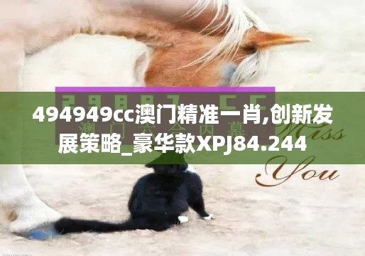 494949cc澳门精准一肖,创新发展策略_豪华款XPJ84.244