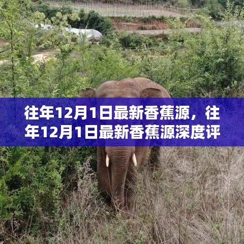空前绝后 第4页