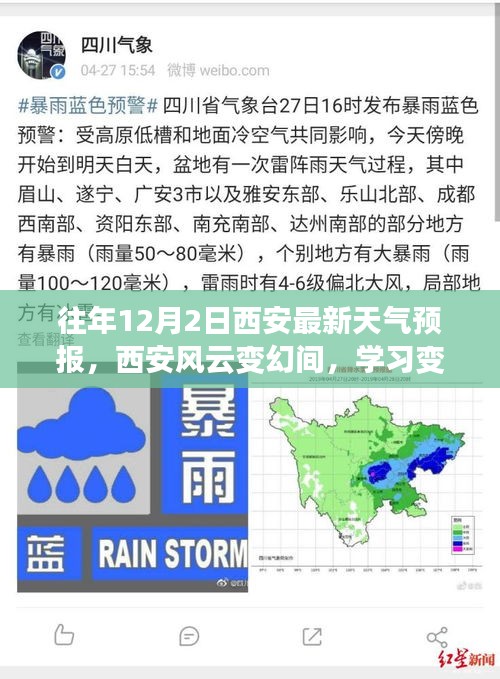 百鸟归巢 第3页