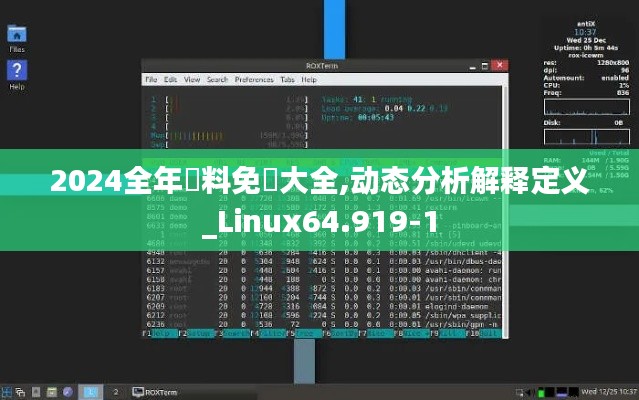 2024全年資料免費大全,动态分析解释定义_Linux64.919-1