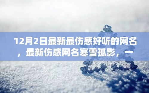 阿胶究竟有哪些功效 第418页