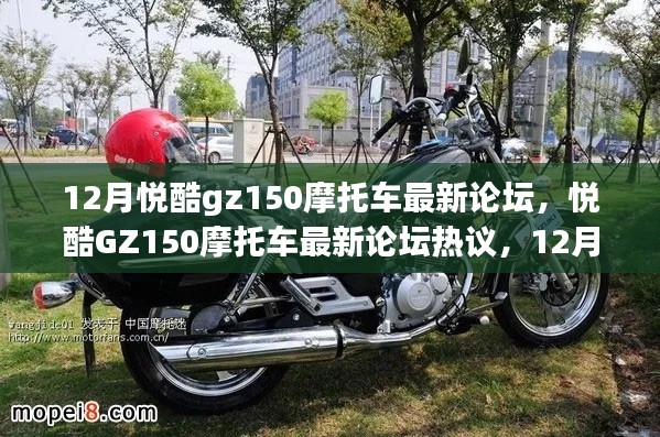 阿胶究竟有哪些功效 第391页