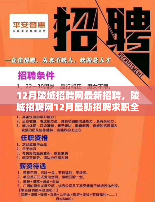 陵城招聘网12月最新招聘求职全攻略，适合初学者与进阶用户通用