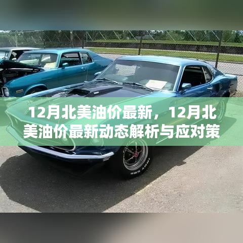 金石为开 第4页