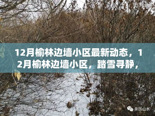 一张一弛 第3页