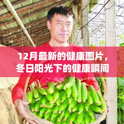 钗荆裙布 第3页