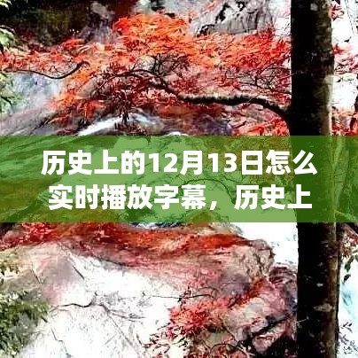 自然美景的邂逅