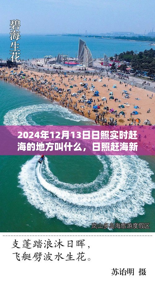 日照赶海新地标揭晓，2024年最佳赶海地点测评与推荐