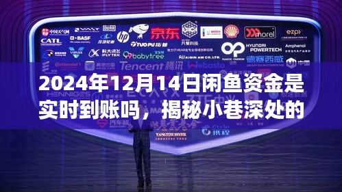 揭秘闲鱼资金到账时间，特色小店背后的速度与真相，探寻不一样的闲鱼速度。