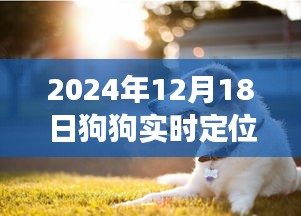 功能深度评测