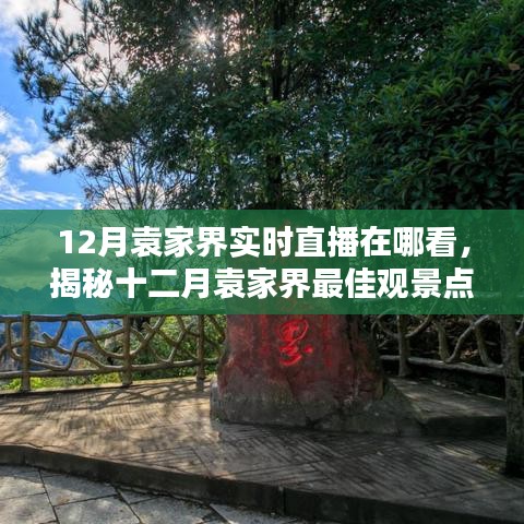 揭秘十二月袁家界最佳观景点，实时直播带你领略神奇自然风光之旅