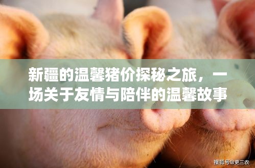 友情与陪伴