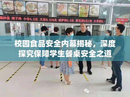 校园食品安全内幕揭秘，深度探究保障学生餐桌安全之道