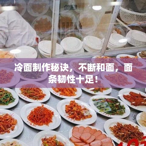 冷面制作秘诀，不断和面，面条韧性十足！