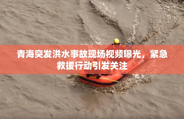 青海突发洪水事故现场视频曝光，紧急救援行动引发关注