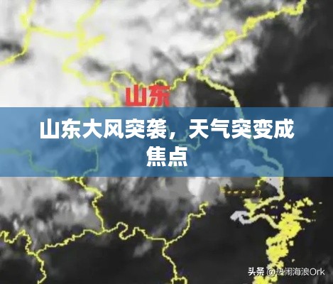 真独简贵 第3页