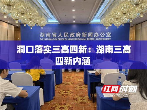 洞口落实三高四新：湖南三高四新内涵 