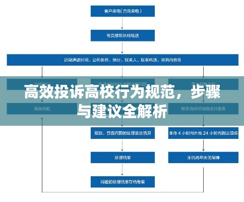 高效投诉高校行为规范，步骤与建议全解析