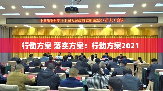 行动方案 落实方案：行动方案2021 