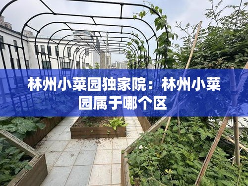 林州小菜园独家院：林州小菜园属于哪个区 