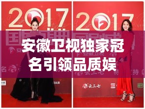 安徽卫视独家冠名引领品质娱乐新潮流