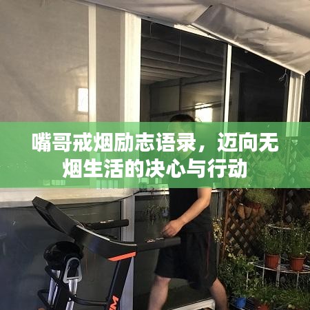 抛砖引玉 第3页