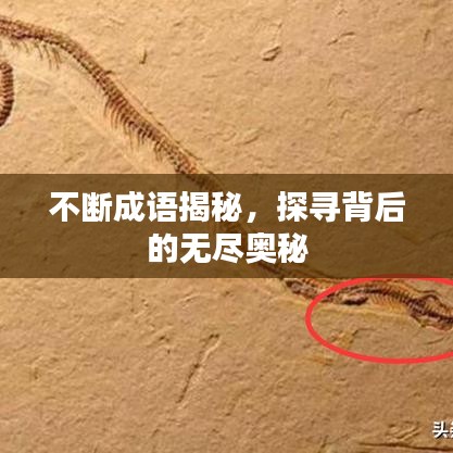 不断成语揭秘，探寻背后的无尽奥秘
