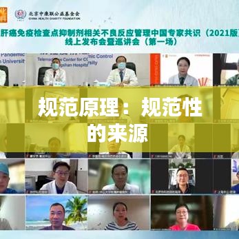 规范原理：规范性的来源 