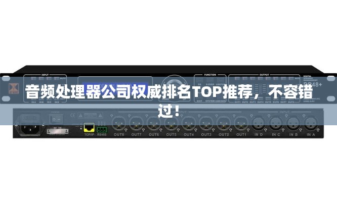 音频处理器公司权威排名TOP推荐，不容错过！