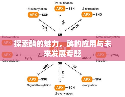 首当其冲 第2页