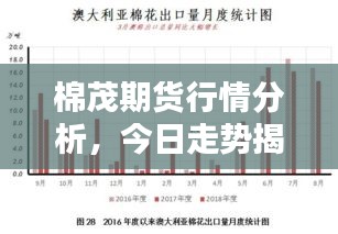 杳无音信 第2页