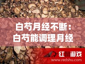 白芍月经不断：白芍能调理月经吗 