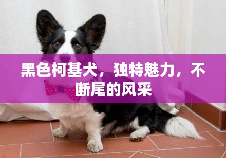 自作主张 第3页