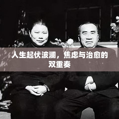 人生起伏波澜，焦虑与治愈的双重奏