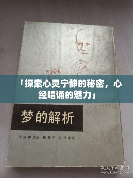 白璧无瑕 第2页