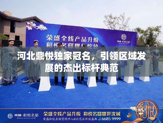 河北鼎悦独家冠名，引领区域发展的杰出标杆典范