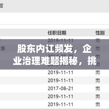 股东内讧频发，企业治理难题揭秘，挑战与应对策略