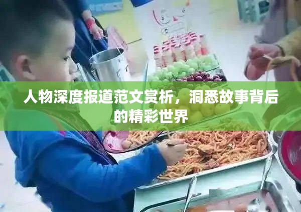 人物深度报道范文赏析，洞悉故事背后的精彩世界