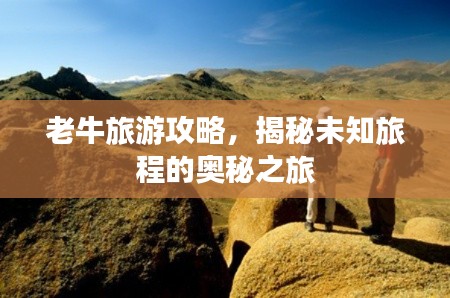 老牛旅游攻略，揭秘未知旅程的奥秘之旅