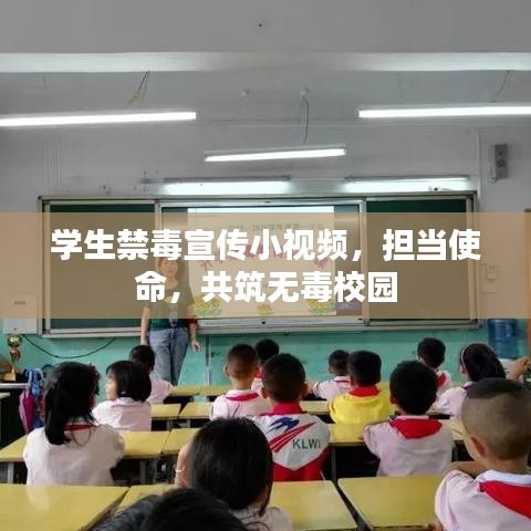 学生禁毒宣传小视频，担当使命，共筑无毒校园