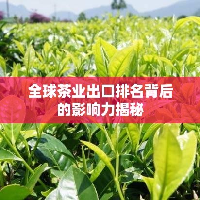 全球茶业出口排名背后的影响力揭秘