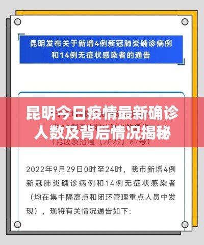 昆明今日疫情最新确诊人数及背后情况揭秘