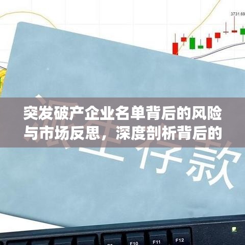 突发破产企业名单背后的风险与市场反思，深度剖析背后的故事