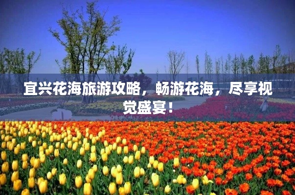 宜兴花海旅游攻略，畅游花海，尽享视觉盛宴！