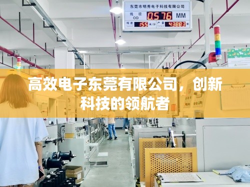 高效电子东莞有限公司，创新科技的领航者