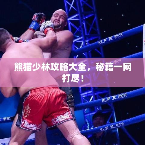 熊猫少林攻略大全，秘籍一网打尽！