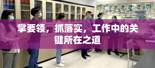 掌要领，抓落实，工作中的关键所在之道
